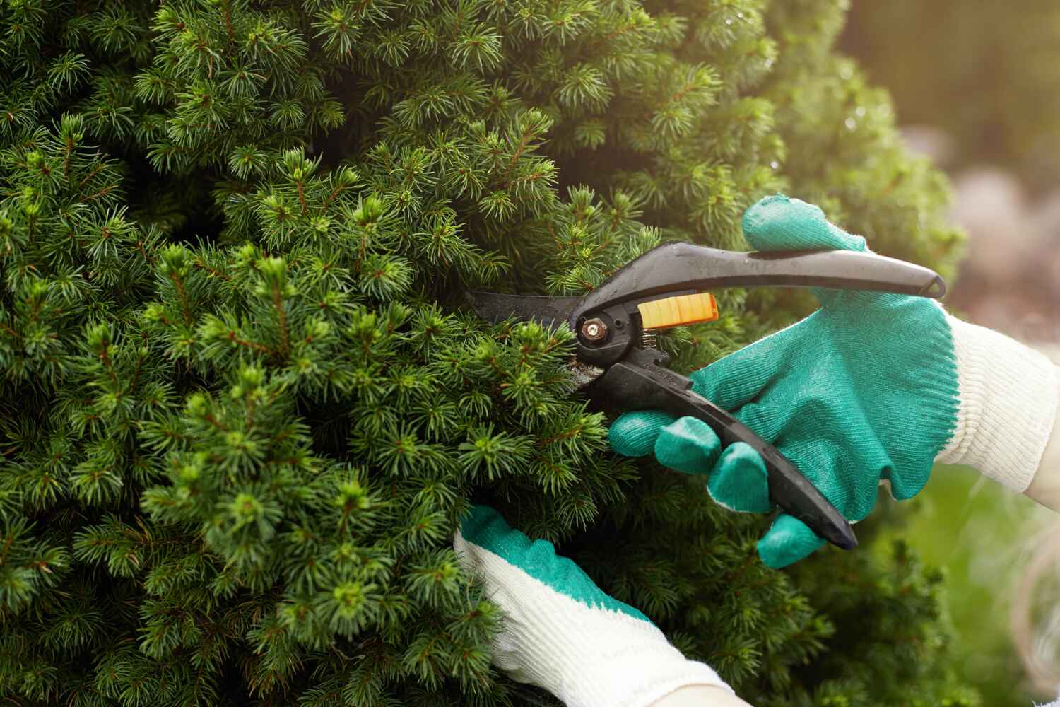 Best Tree Clearing Services  in South Uniontown, PA